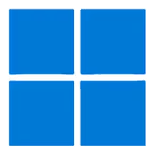 Windows 11 Pro